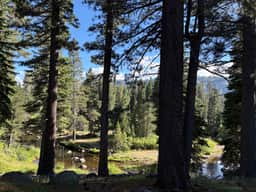 Steps from Upper Truckee River 15 Min to Heavenly - Image 3